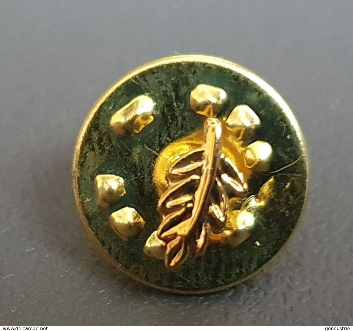 Broche Maçonnique De Col De Veste (type Pin's) "feuille D'acacia" Symbole Franc-maçon / Franc-maçonnerie - Brochen