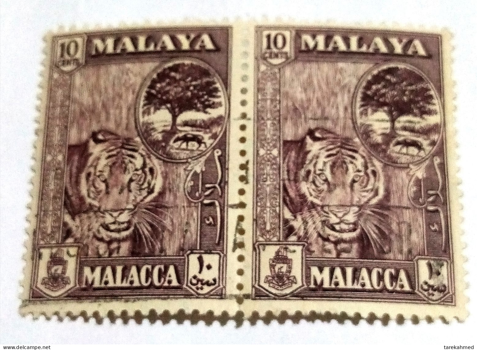 Malacca (Malaysia). Pair Of 1960-62 Stamp , Tree Inset. 10c, SG 55, VF - Malacca