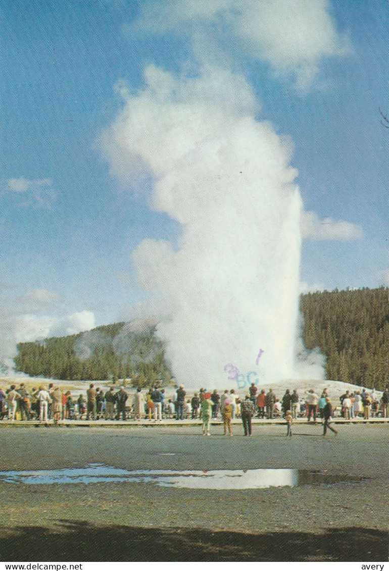 Old Faithful Geyser, Yellowstone National Park, Wyoming - Yellowstone