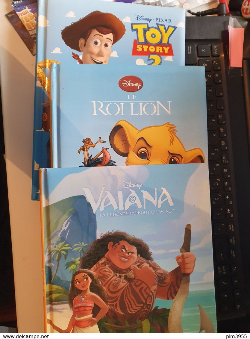 Livre   3 Livres Disney France Loisirs Toy Story 2 , VAIANA, Le Roi Lion  Matelassé 96 Pages - Disney