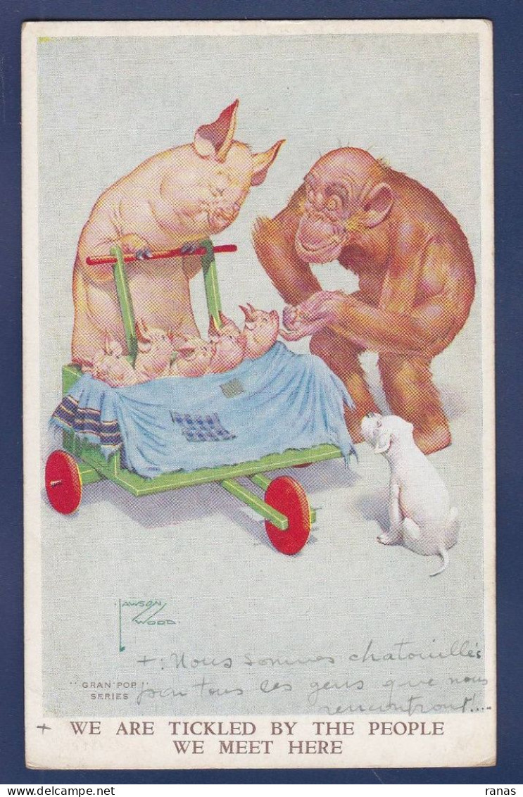 CPA Cochon Pig Caricature Satirique écrite Position Humaine Singe - Cochons