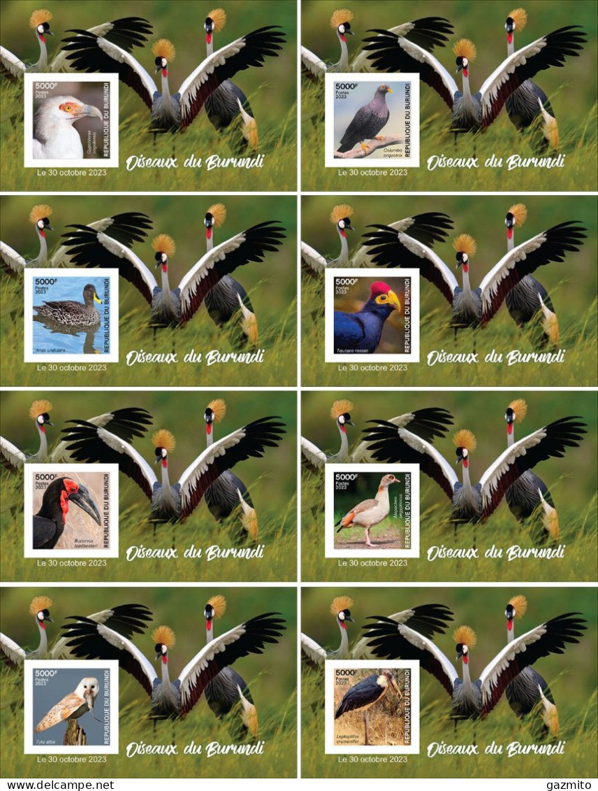 Burundi 2023, Birds Of Burundi, Duck, Owl, Henron, 8BF IMPERFORATED - Neufs