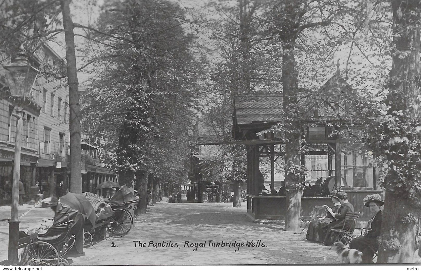 Post Card - The Pantiles  Royal Tunbridge Wells -Real Photo -Animation - Tunbridge Wells