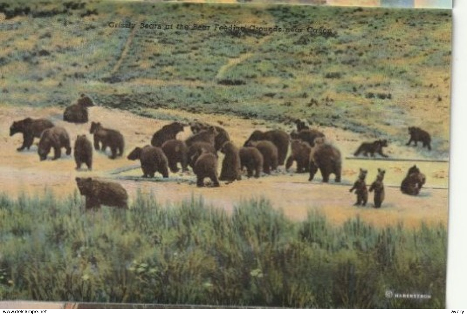 Souvenir Folder Of Yellowstone National Park, Wyoming - Yellowstone