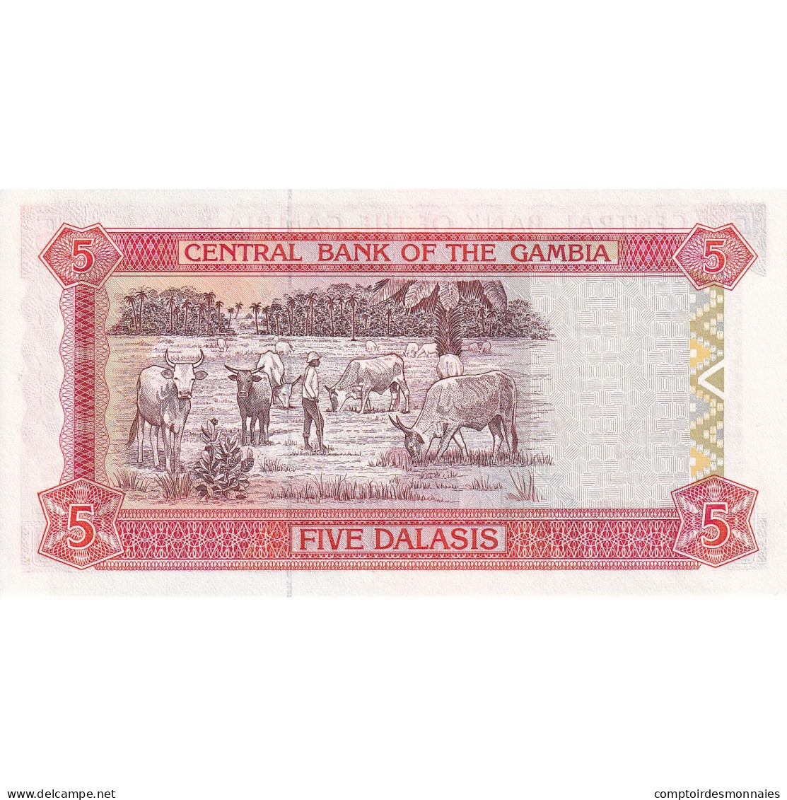 Gambie, 5 Dalasis, Undated (2001), KM:20a, NEUF - Gambie