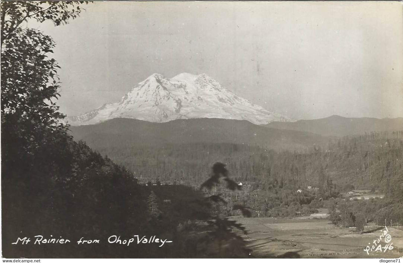 Mt Rainier From Ohop Valley Photo Postcard 1945 Military Post - Seattle