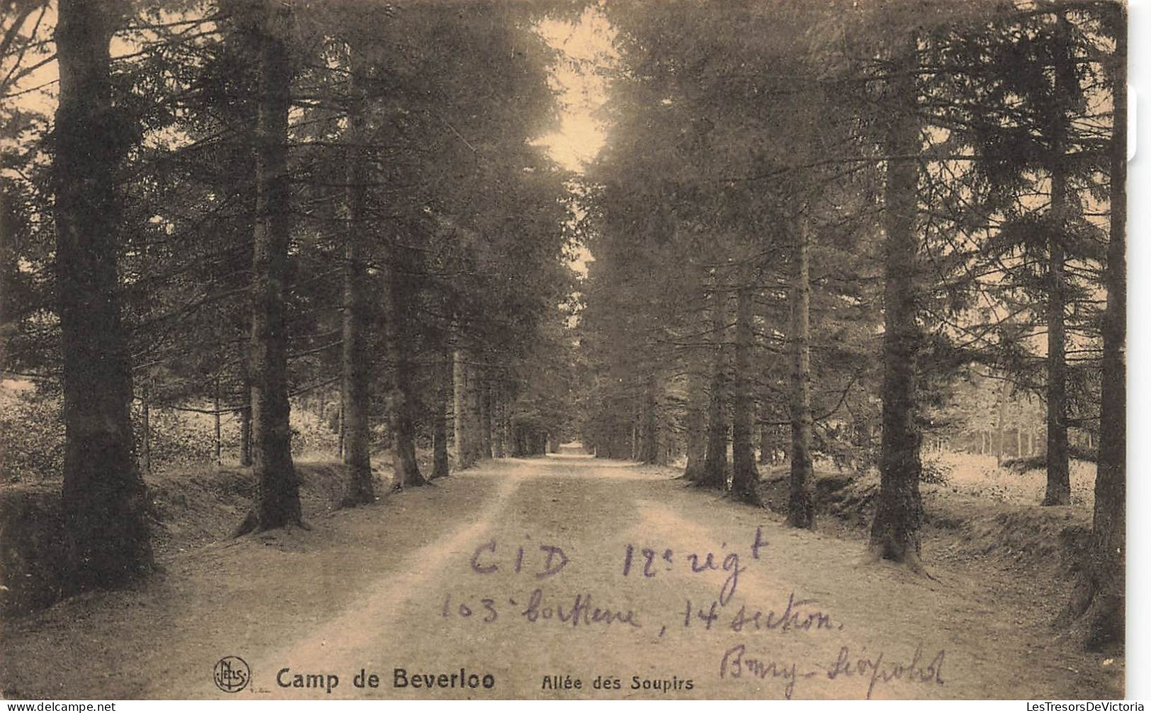 BELGIQUE - Camp De Beverloo - Allée Des Soupirs - Carte Postale Ancienne - Leopoldsburg (Camp De Beverloo)