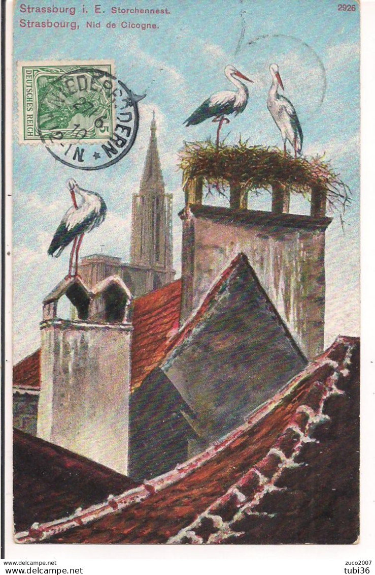 STRASSBURG - STORCHENNEST - POSTE  NIEDERRODERN,1910,FRANCOBOLLO DEUTSCHES REICH,sehr Interessant,RR - St. Veit An Der Glan