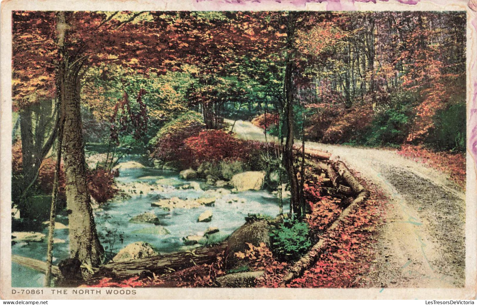 ETATS-UNIS - The North Woods- Colorisé - Carte Postale - Sonstige & Ohne Zuordnung