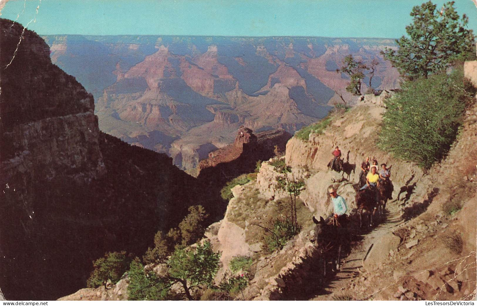 ETATS-UNIS - Grand Canyon - Grand Canyon National Park - Arizona - Colorisé - Carte Postale - Grand Canyon