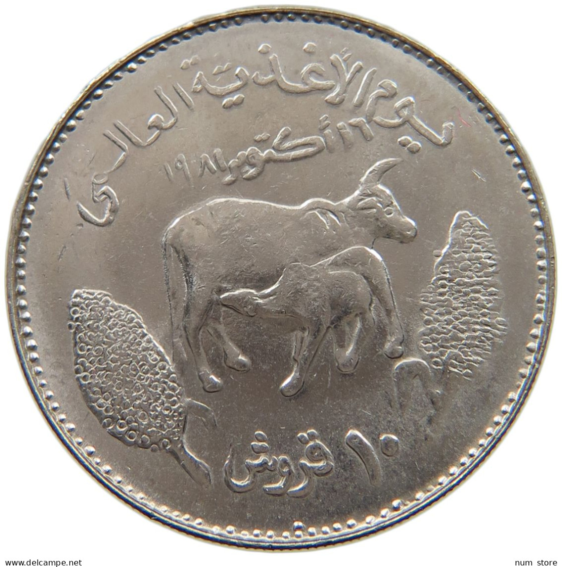 SUDAN 10 GHIRSH 1981 FAO #MA 012594 - Soedan