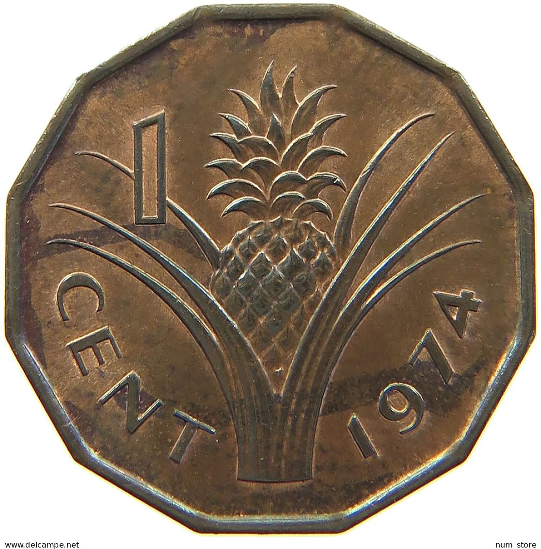 SWAZILAND CENT 1974  #MA 066892 - Swazilandia