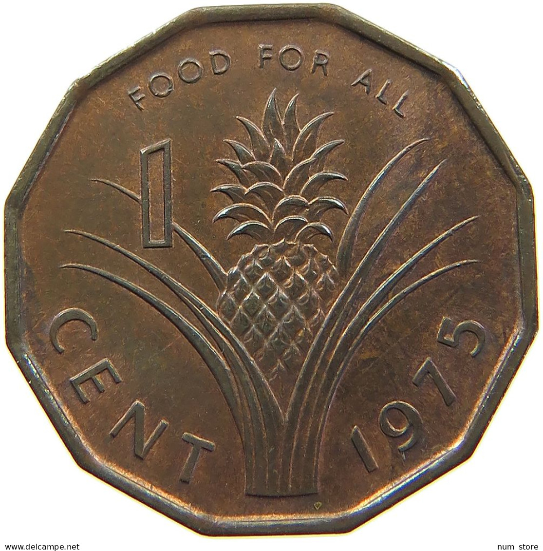 SWAZILAND CENT 1975  #MA 066893 - Swazilandia