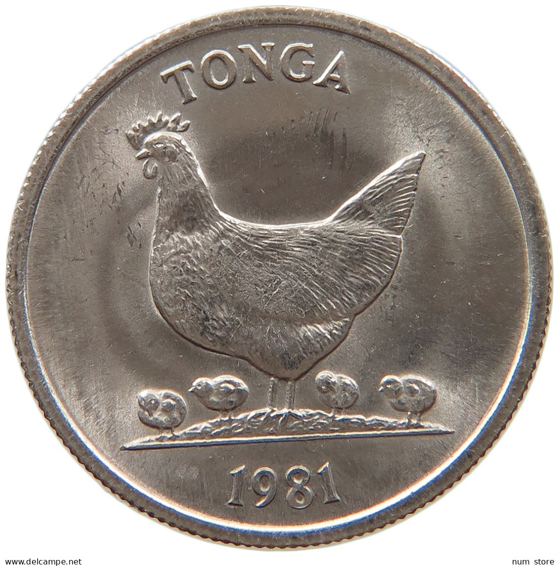 TONGA 5 SENITI 1981  #MA 065810 - Tonga