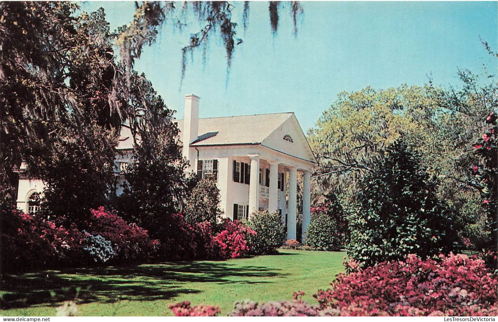 ETATS-UNIS - Brilliant Azaleas And Moss Draped Trees Frame This Lovely White Columned Souther - Colorisé - Carte Postale - Other & Unclassified