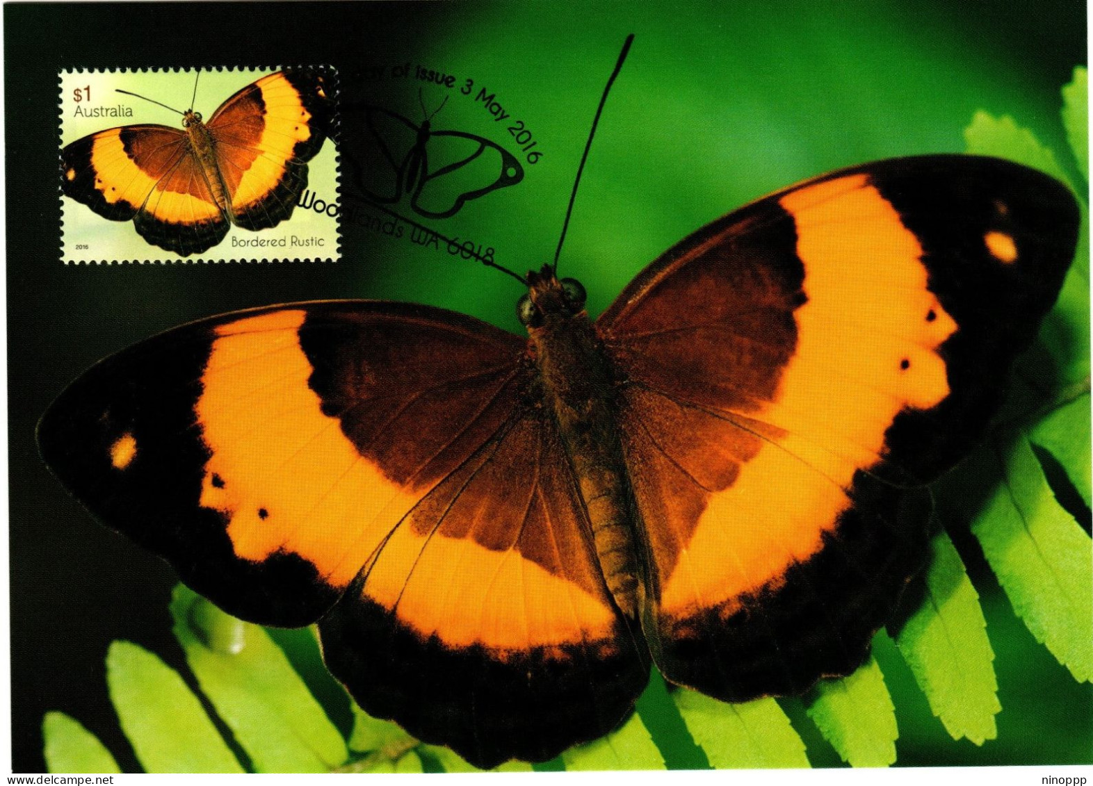Australia 2016  Butterfly,Bordered Rustic ,maximum Card - Maximumkarten (MC)