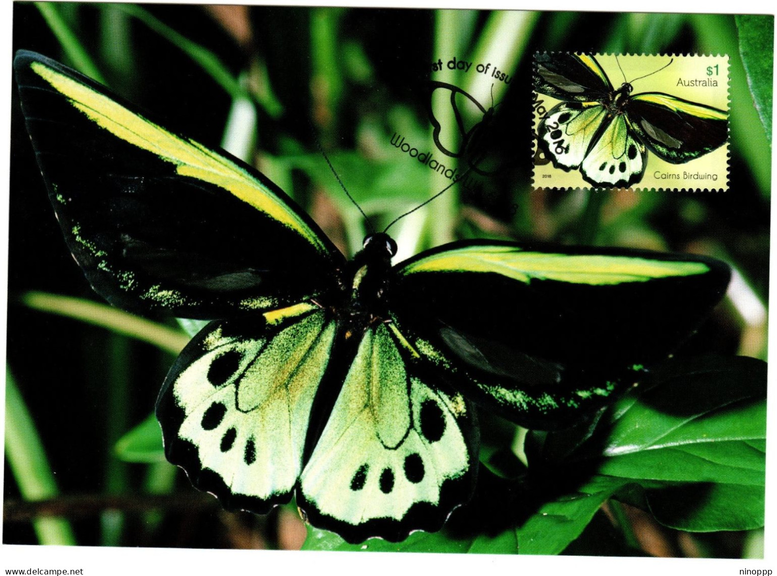 Australia 2016  Butterfly,Cairns Birdwing ,maximum Card - Maximumkaarten