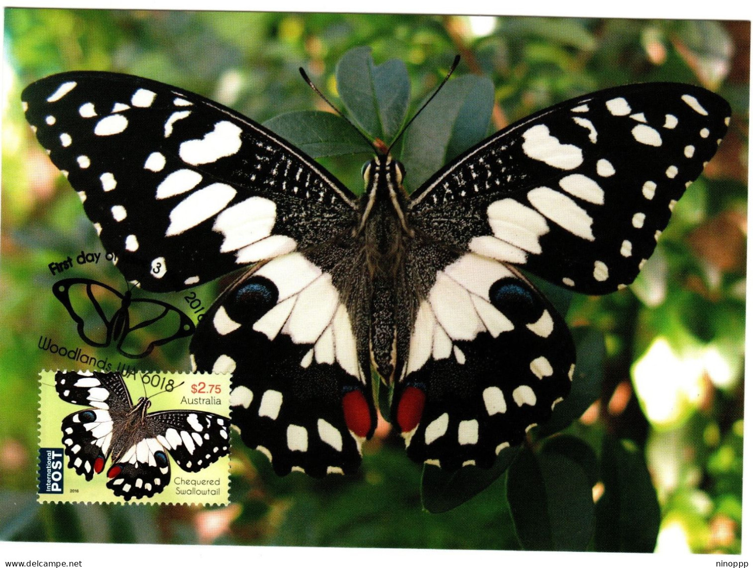 Australia 2016  Butterfly,Chequered Swallowtail ,maximum Card - Cartes-Maximum (CM)