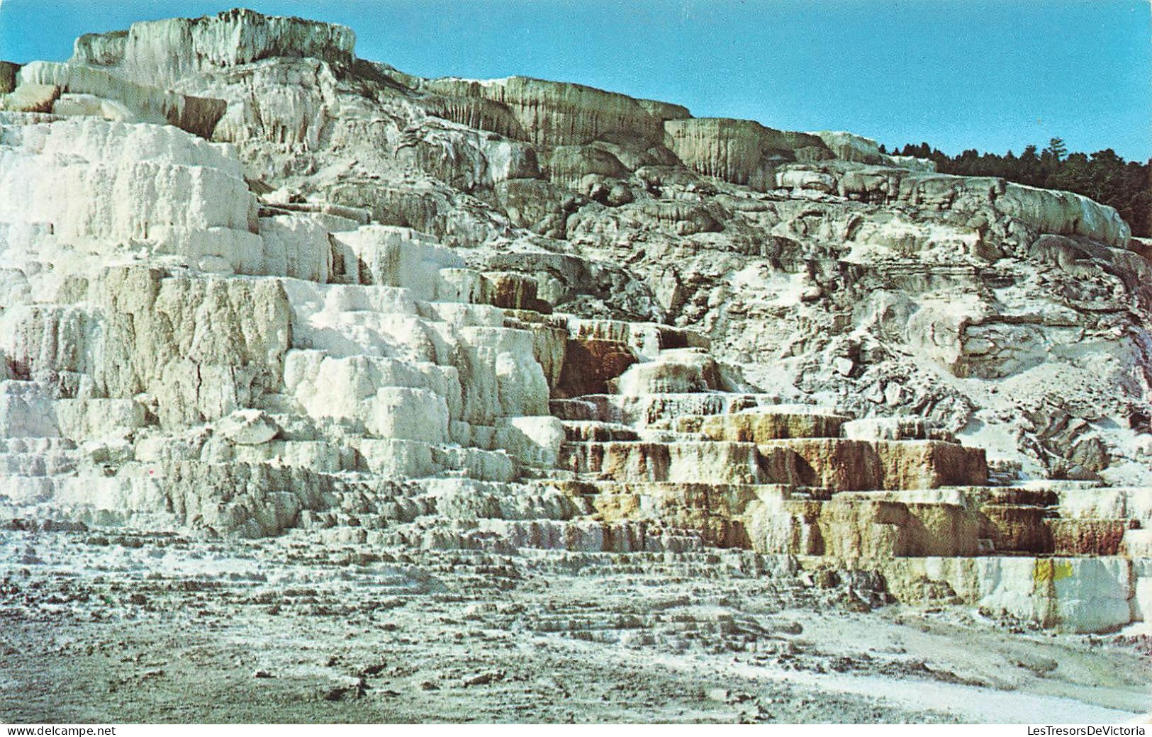 ETATS-UNIS - Minerva Terrace - Yeloowstone National Park - Colorisé - Carte Postale - Sonstige & Ohne Zuordnung