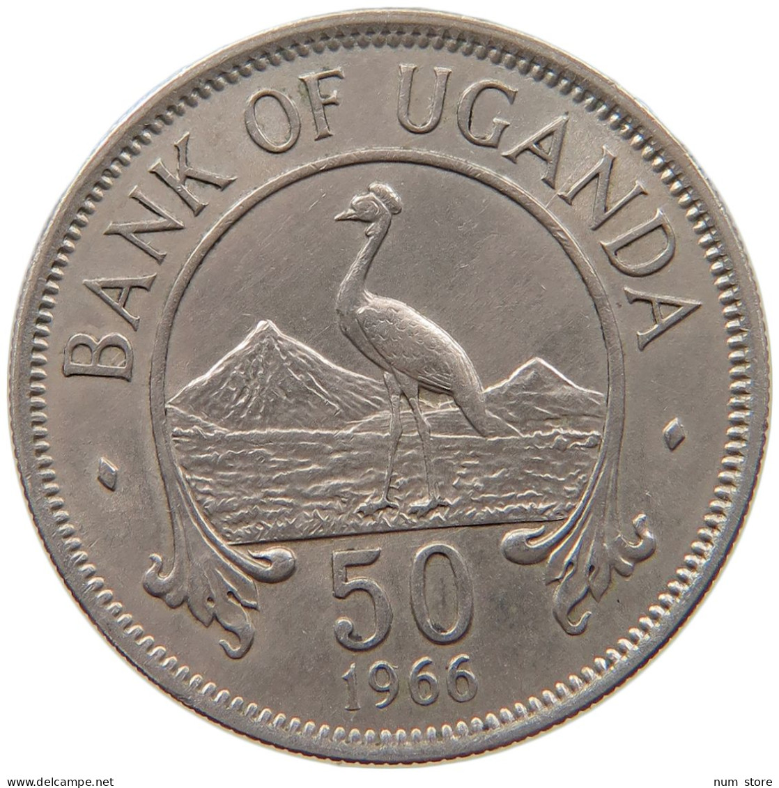 UGANDA 50 CENTS 1966  #MA 066956 - Oeganda