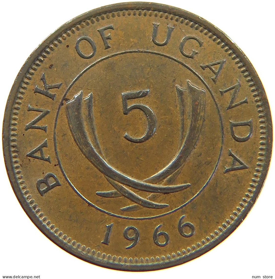 UGANDA 5 CENTS 1966  #MA 066950 - Uganda