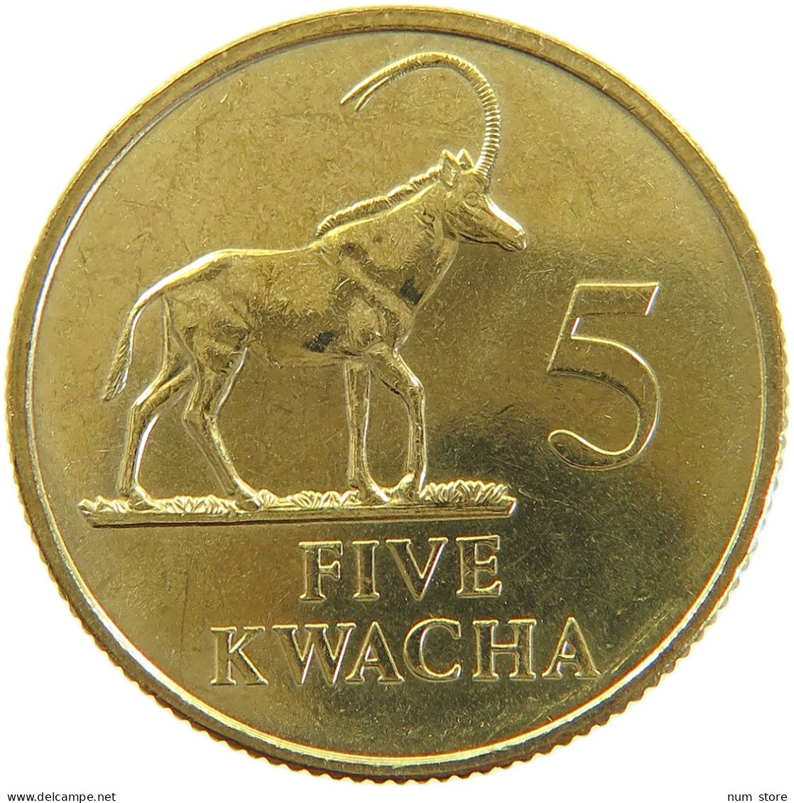 ZAMBIA 5 KWACHA 1992  #MA 066872 - Sambia