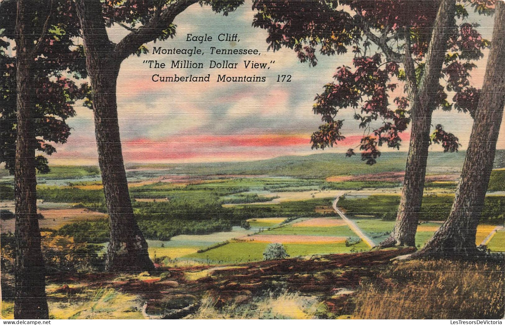 ETATS-UNIS - Cumberland Mountains - Monteagle - Tennessee - The Million Dollar View - Colorisé - Carte Postale - Sonstige & Ohne Zuordnung