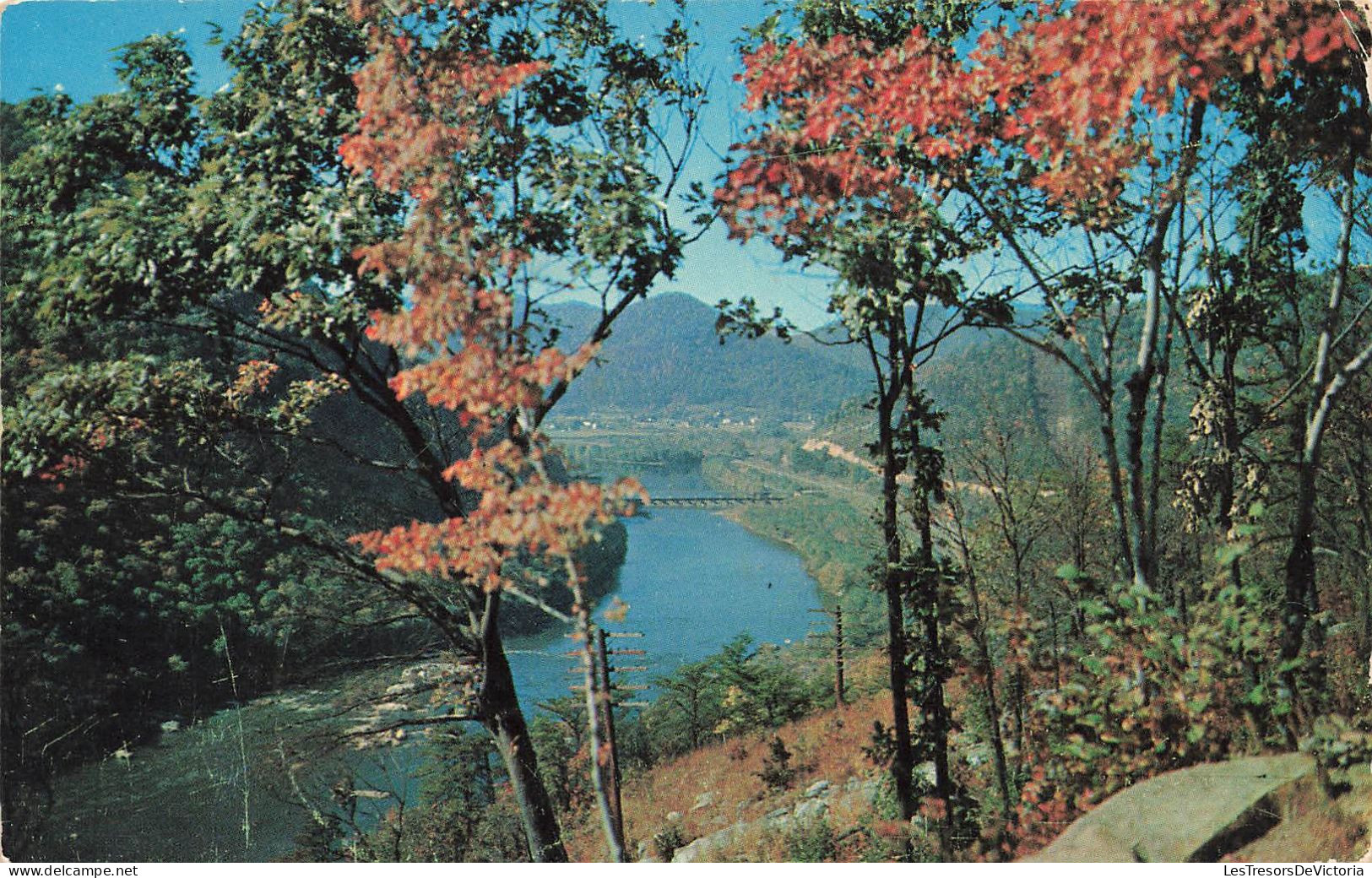 ETATS-UNIS - Postcard James River Gorge Blue Ridge Mountains Buena Vista Virginia- Colorisé - Carte Postale - Sonstige & Ohne Zuordnung