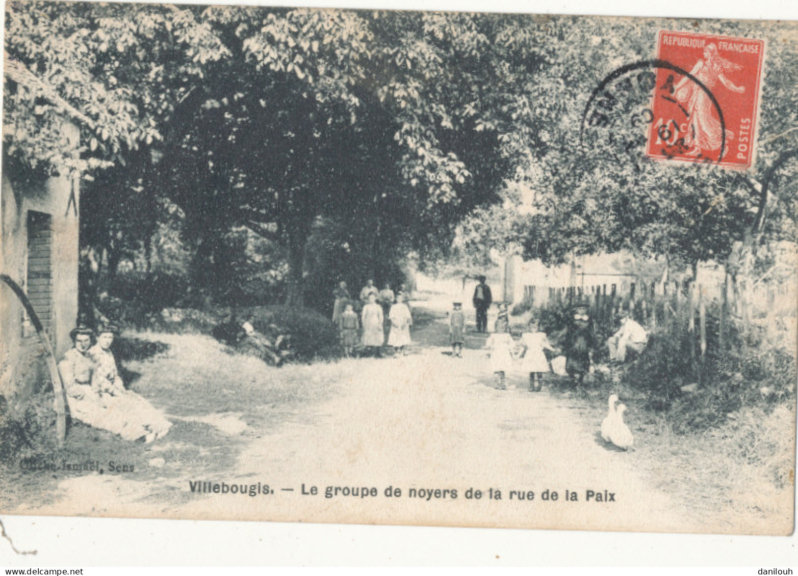 89 // VILLEBOUGIS   Le Groupe De Noyers De La Rue De La Paix  / ARBRES - Villebougis