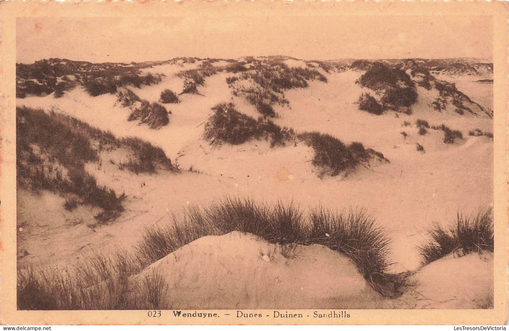 BELGIQUE - Wenduyne - Dunes - Carte Postale Ancienne - Wenduine