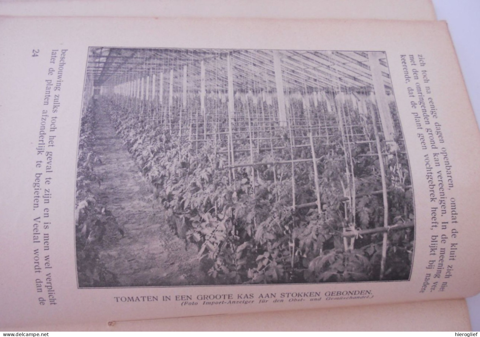 Het Kweeken Van Tomaten Door J.L. De Hoog / Weten En Kunnen - Afdeeling PLANT BLOEM VRUCHT Tuinbouw Kweken Telen Groente - Vita Quotidiana