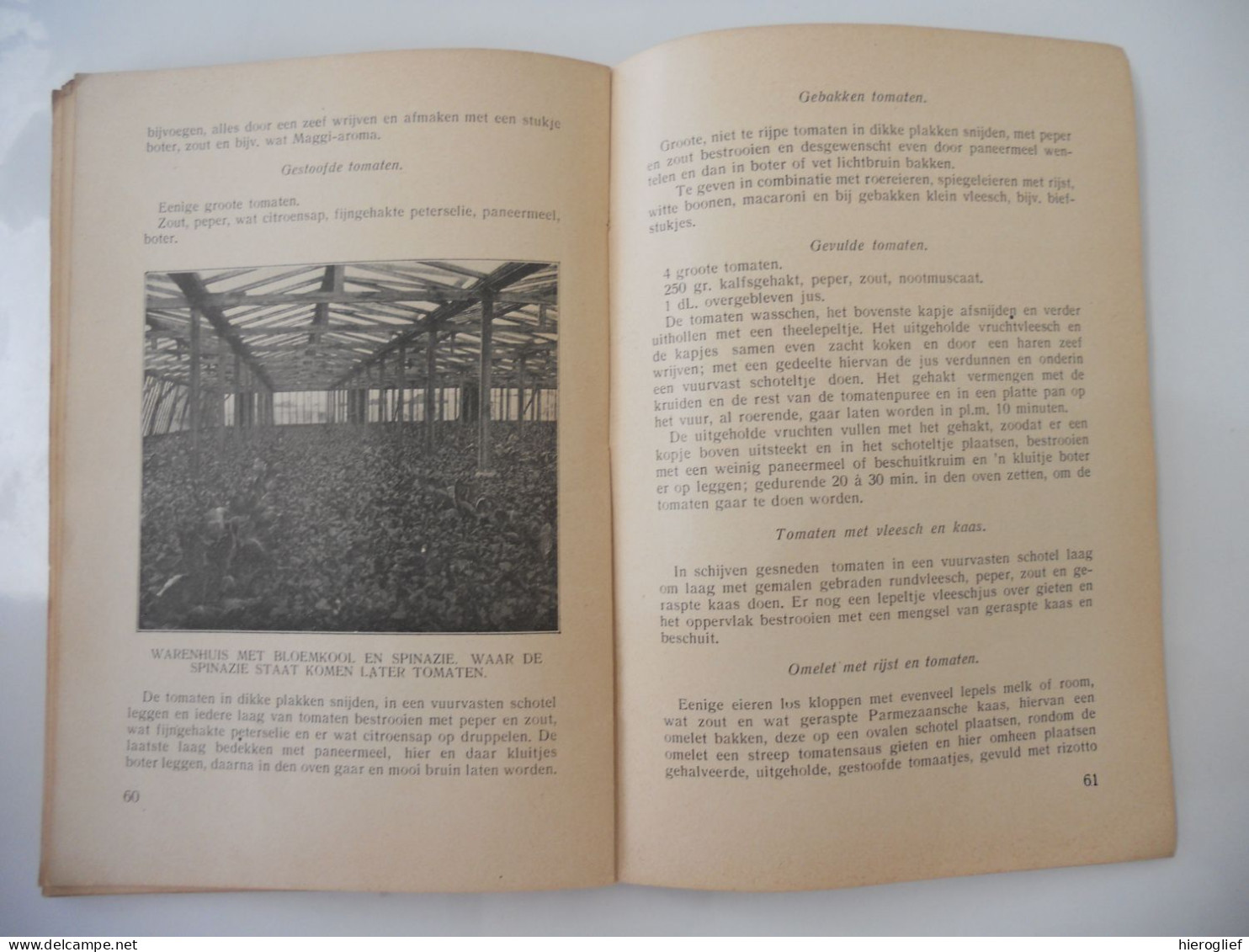 Het kweeken van tomaten door J.L. De Hoog / Weten en kunnen - afdeeling PLANT BLOEM VRUCHT tuinbouw kweken telen groente