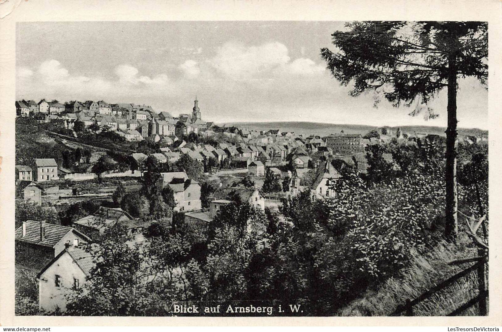 ALLEMAGNE - Blick Auf Arnsberg I W - Vue Panoramique - Carte Postale Ancienne - Arnsberg