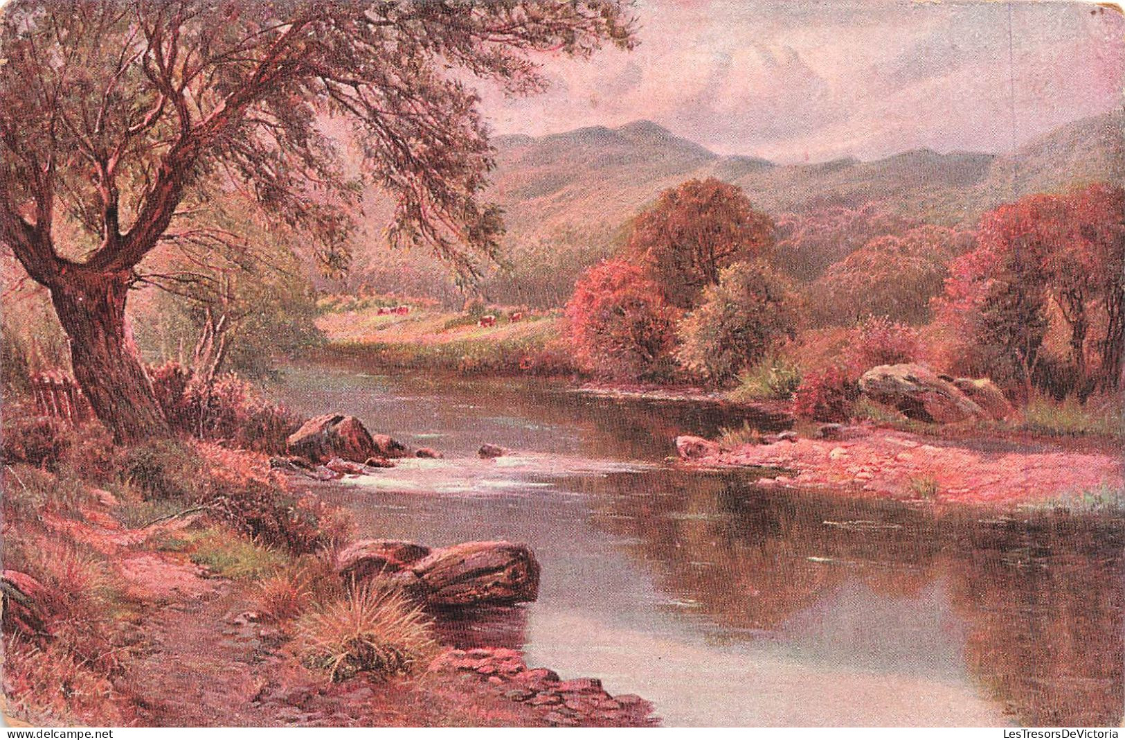 SCÈNES ET PAYSAGES - Paysage - Rivière - Arbres - Montagnes - Colorisé - Carte Postale Ancienne - Scènes & Paysages