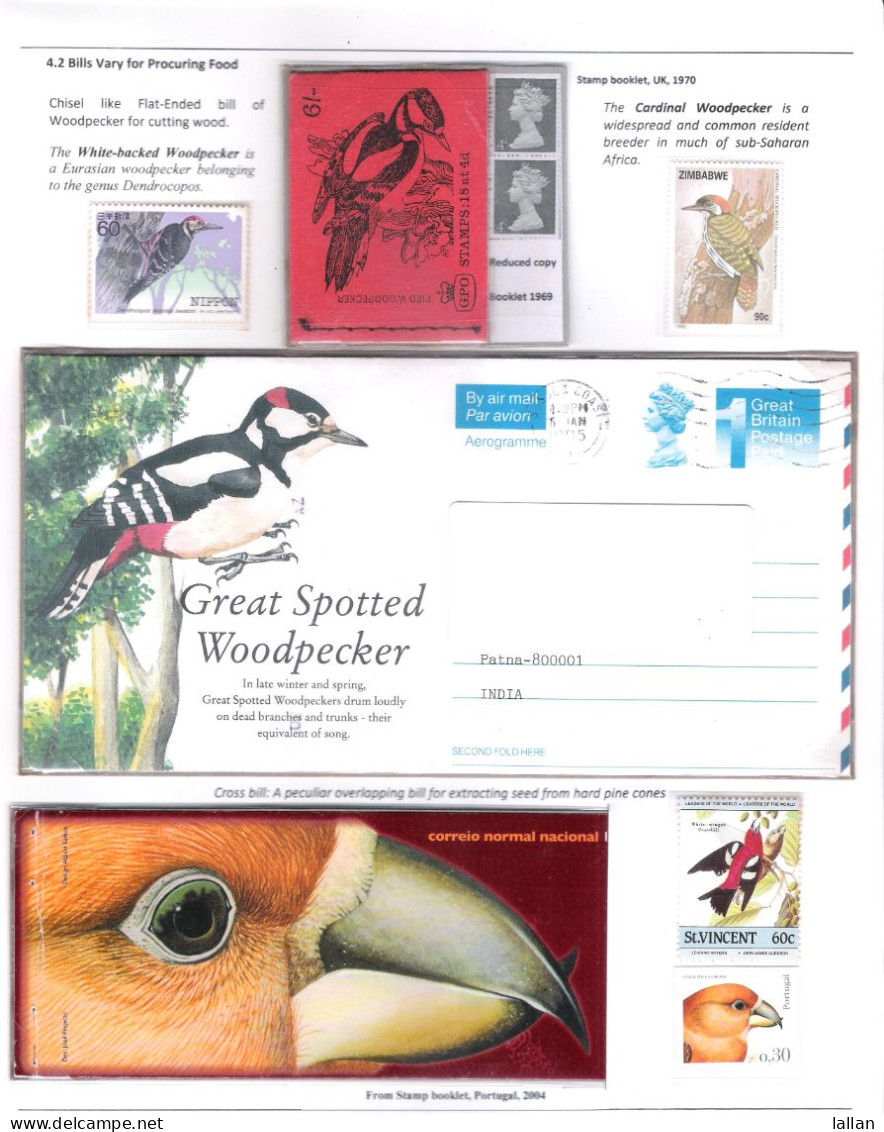 37 Exhibit Pages From Award Winning Exhibit On Birds At FIP World Philatelic Exhibitions At Brazil, China And London - Collections (without Album)