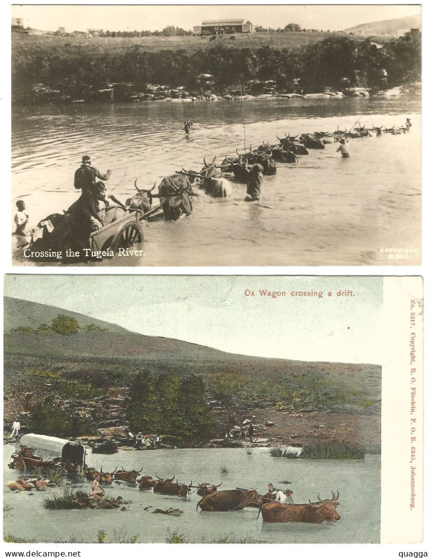 Crossing The Tugela River And Ox Wagon Crossing A Drift. - Afrique Du Sud