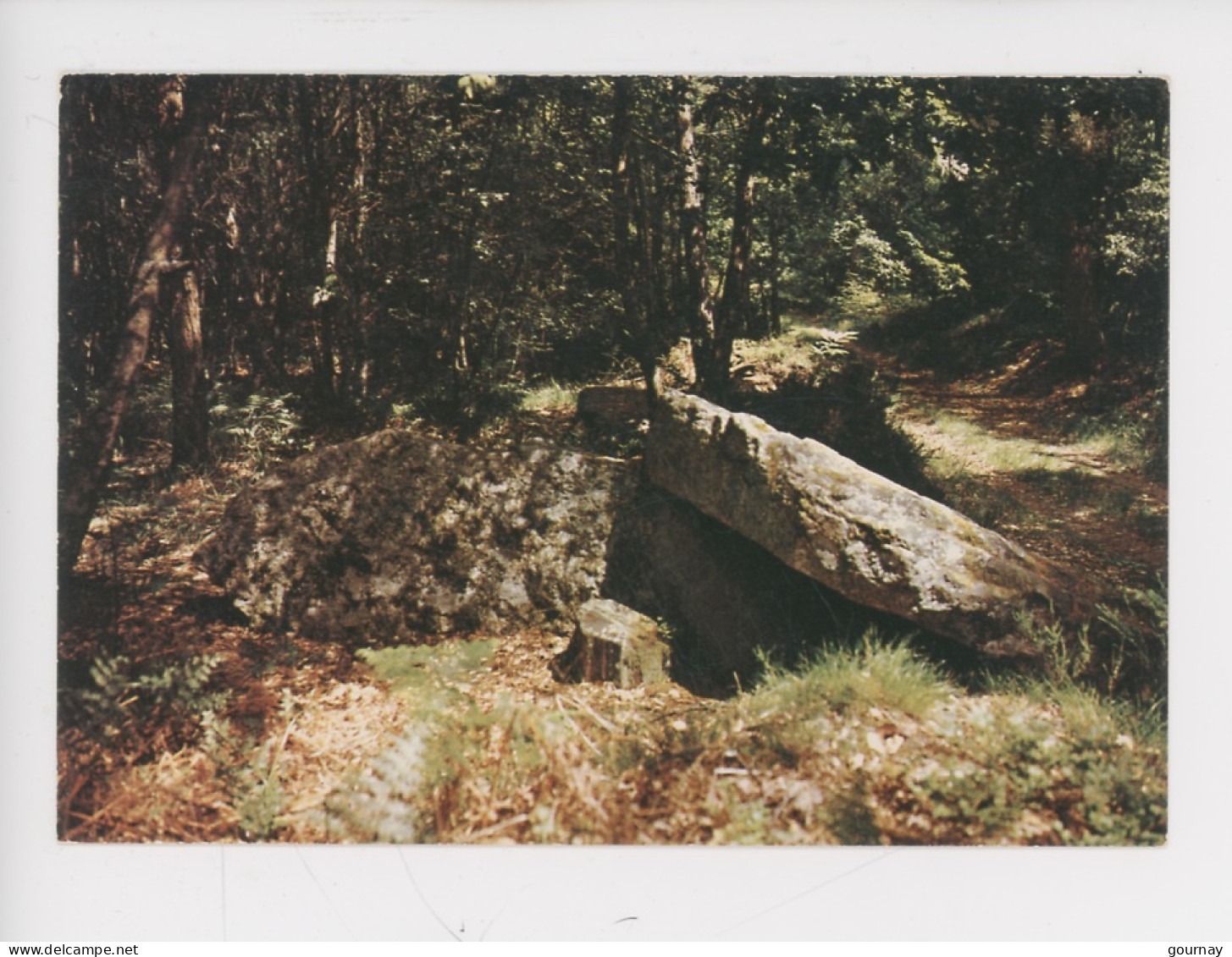 Bagnoles De L'Orne, Dolmen Appelé "Le Lit De La Gione" En Forêt D'Andaines (cp Vierge N°136 Artaud) - Dolmen & Menhirs
