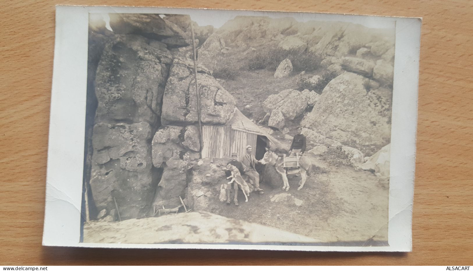 Carte Photode Macedoine ,  Refuge Dans Les Montagnes , âne - Macédoine Du Nord