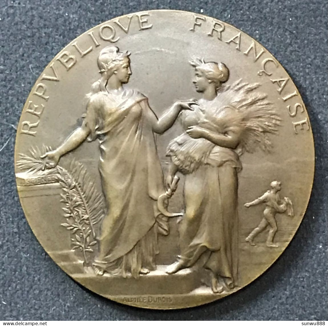 République Française - Ministère De L'Agriculture Concours Hippique De Bourg 1907 Alphée Dubois Bronze - Autres & Non Classés