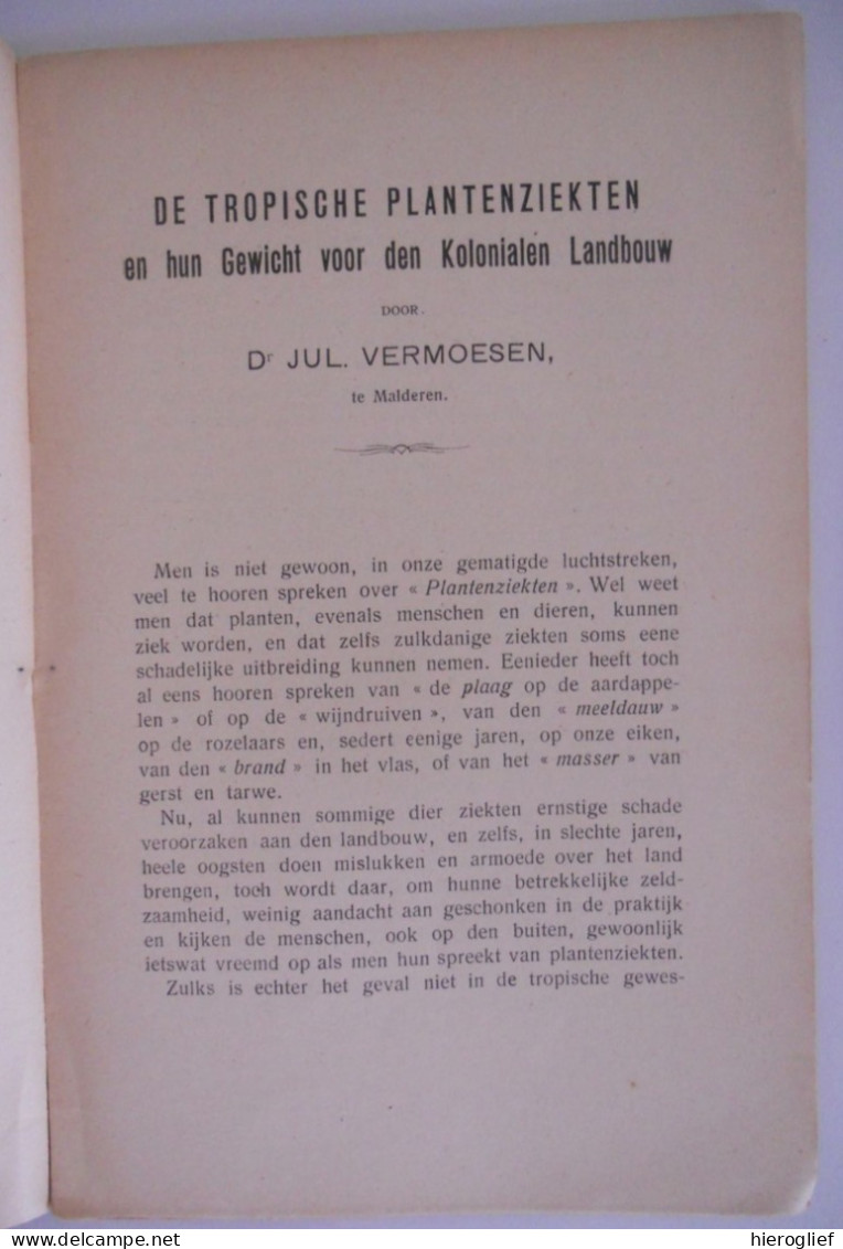 De Tropische Plantenziekten En Hun Gewicht Voor Den Landbouw Door Jul. Vermoesen Te Malderen 1913 Planten Ziekte Tropen - Sachbücher