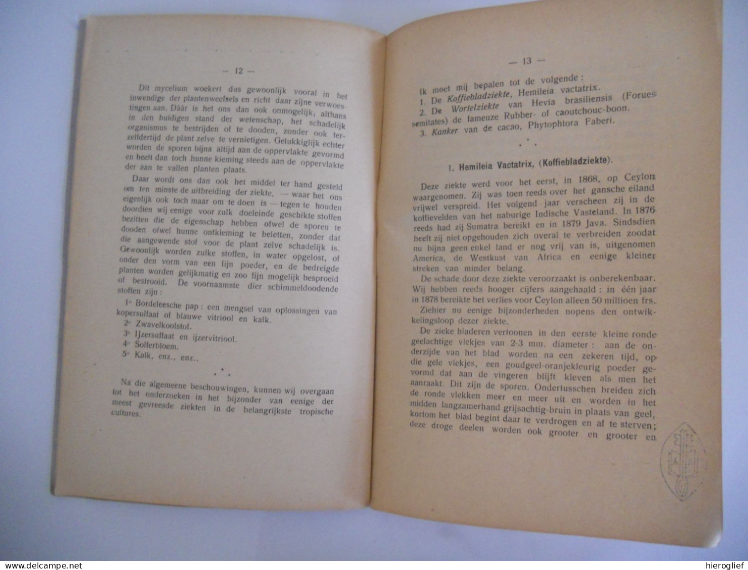 De Tropische Plantenziekten En Hun Gewicht Voor Den Landbouw Door Jul. Vermoesen Te Malderen 1913 Planten Ziekte Tropen - Prácticos