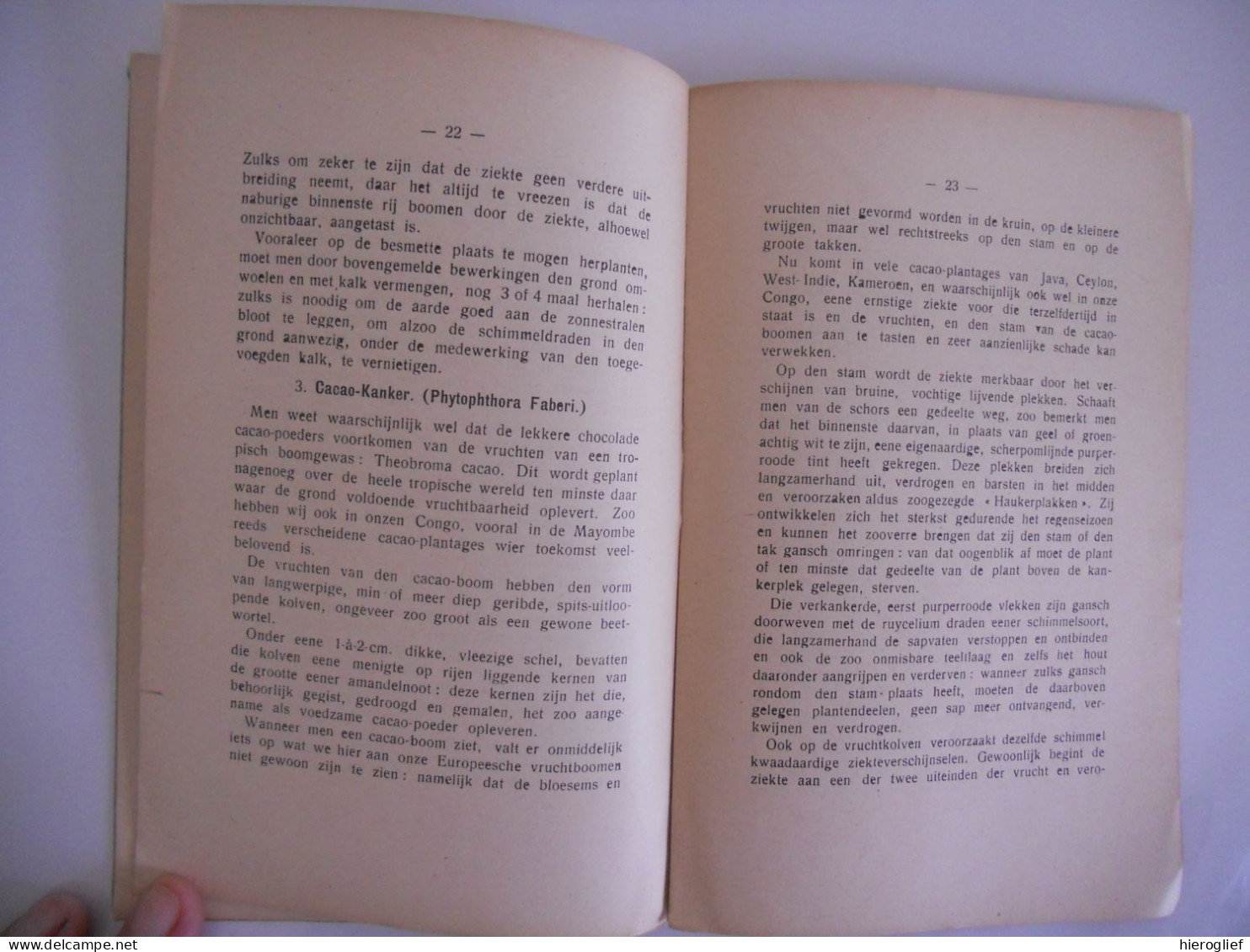 De Tropische Plantenziekten En Hun Gewicht Voor Den Landbouw Door Jul. Vermoesen Te Malderen 1913 Planten Ziekte Tropen - Sachbücher