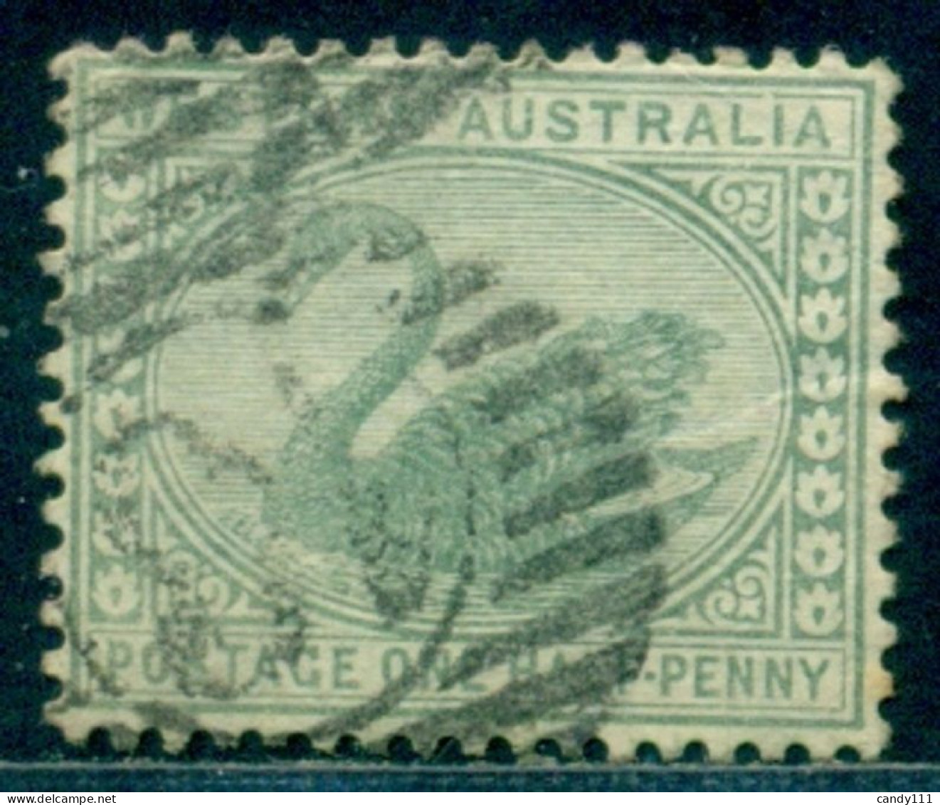 1885 Black Swan,Schwarzschwan,Western Australia,Mi.30 , 1/2 P.,Wmk.3,VFU - Schwäne