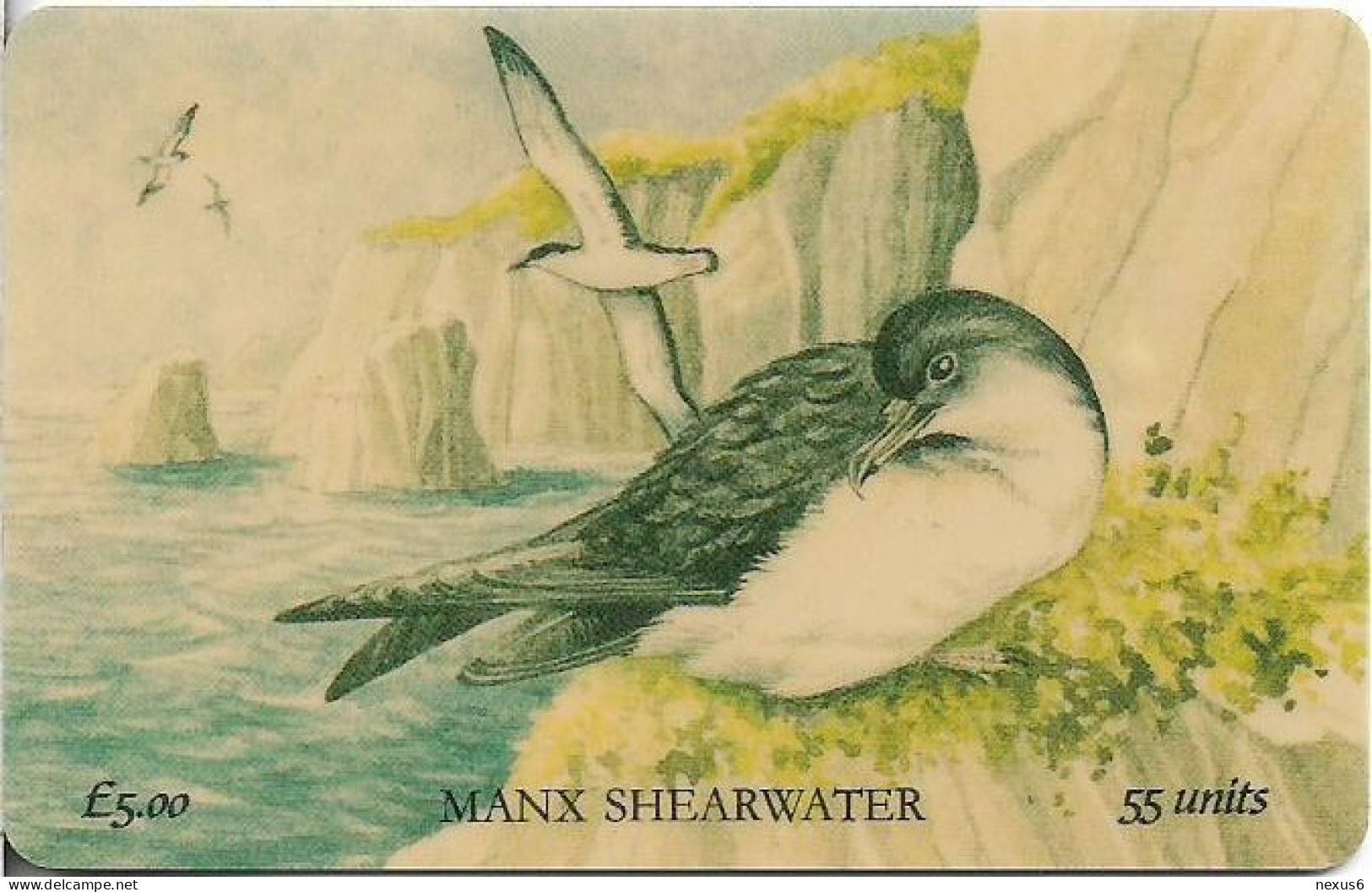 Isle Of Man - Chip - Manx Fauna - Manx Shearwater, 1997, 55U, 6.000ex, Mint - Isla De Man