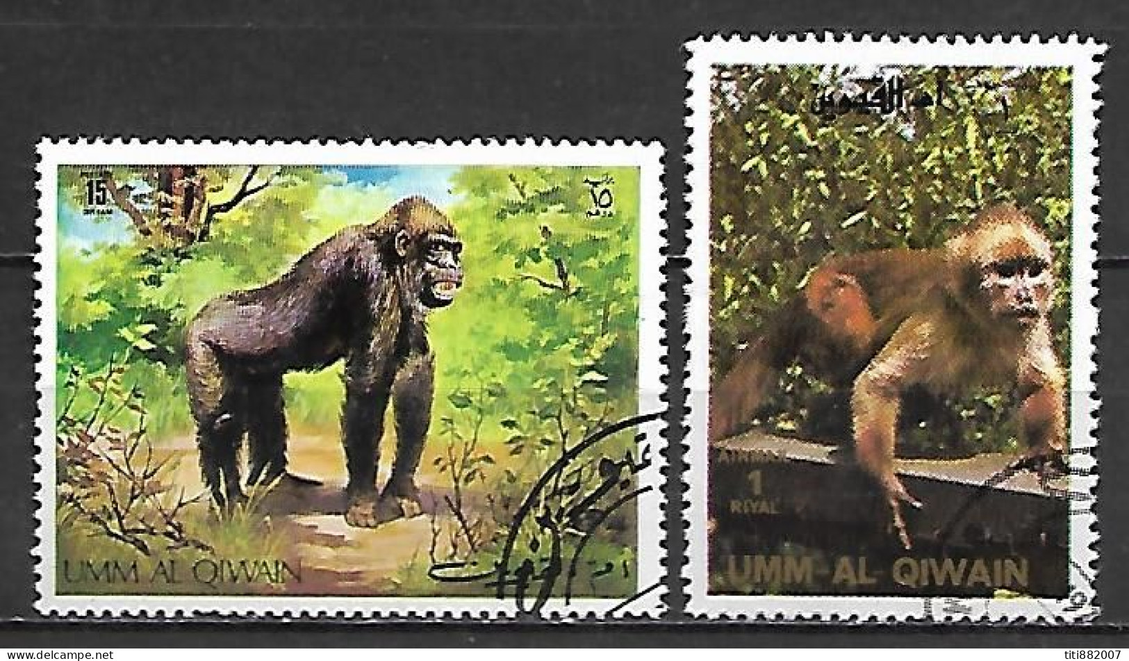 UMM  AL  QIWAIN     -      GORILLE  /  SINGE     -     Oblitérés - Gorilla's