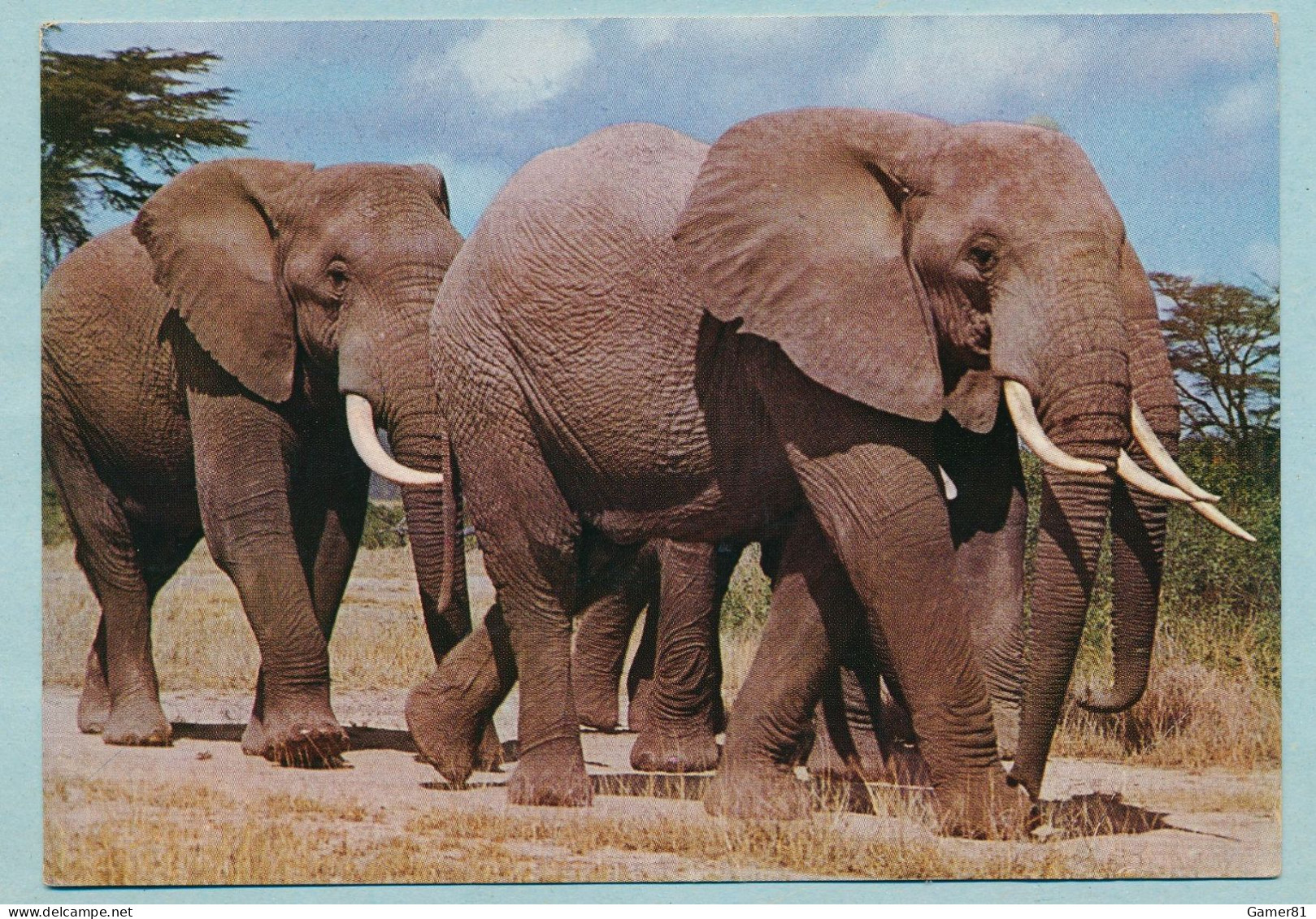 Bêtes D'Afrique Orientale - Eléphants - East African Game - Stamps Timbres - Kenya