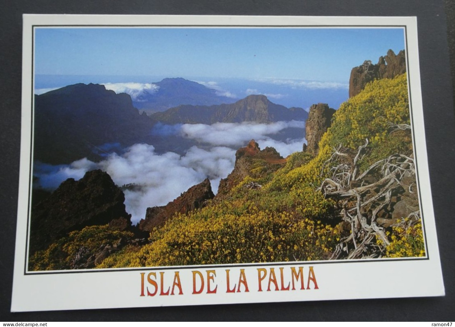 Isla De La Palma - Caldera De Taburiente, Vista Desde Los Andenes - Foto Juan José Santos - # 306 - La Palma