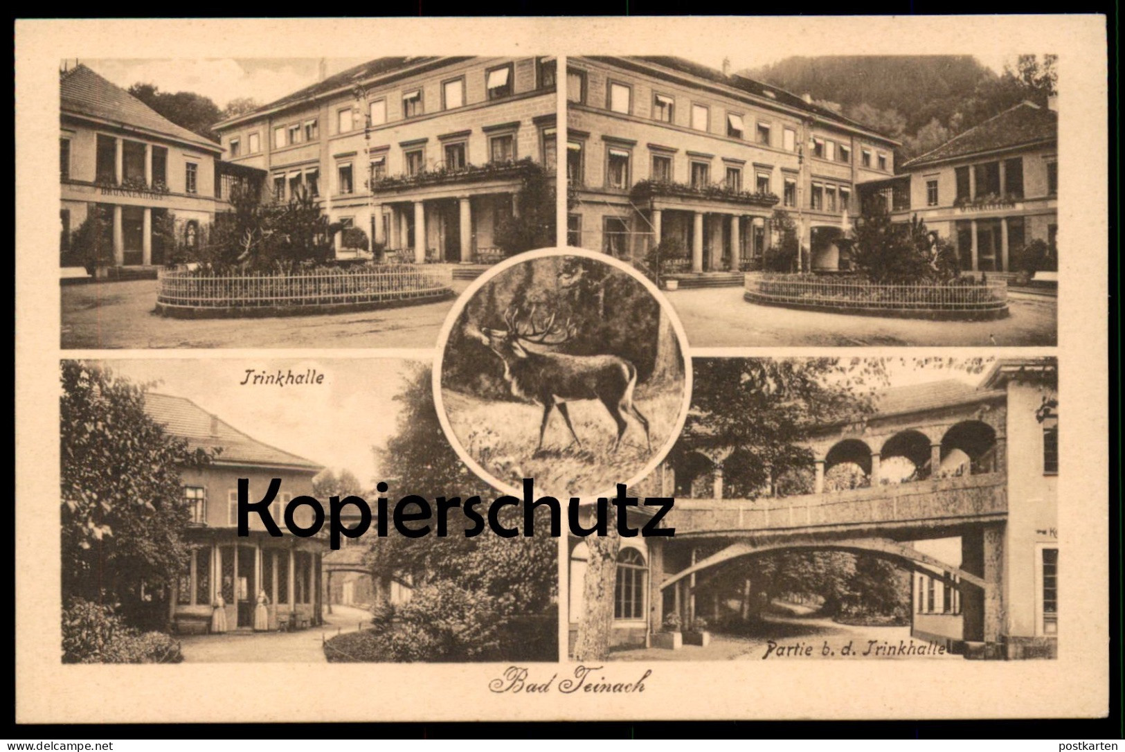 ALTE POSTKARTE BAD TEINACH PARTIE BEI DER TRINKHALLE RÖHRENDER HIRSCH Cerf Deer Schwarzwald Ansichtskarte Postcard Cpa - Bad Teinach