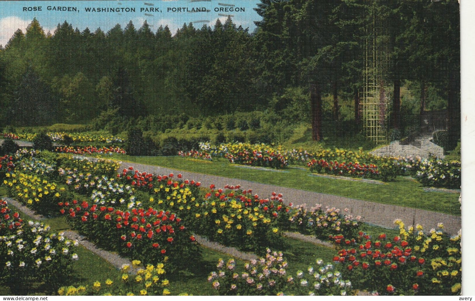 Rose Garden, Washington Park, Portland, Oregon  Home Of The International Rose Test Garden - Portland