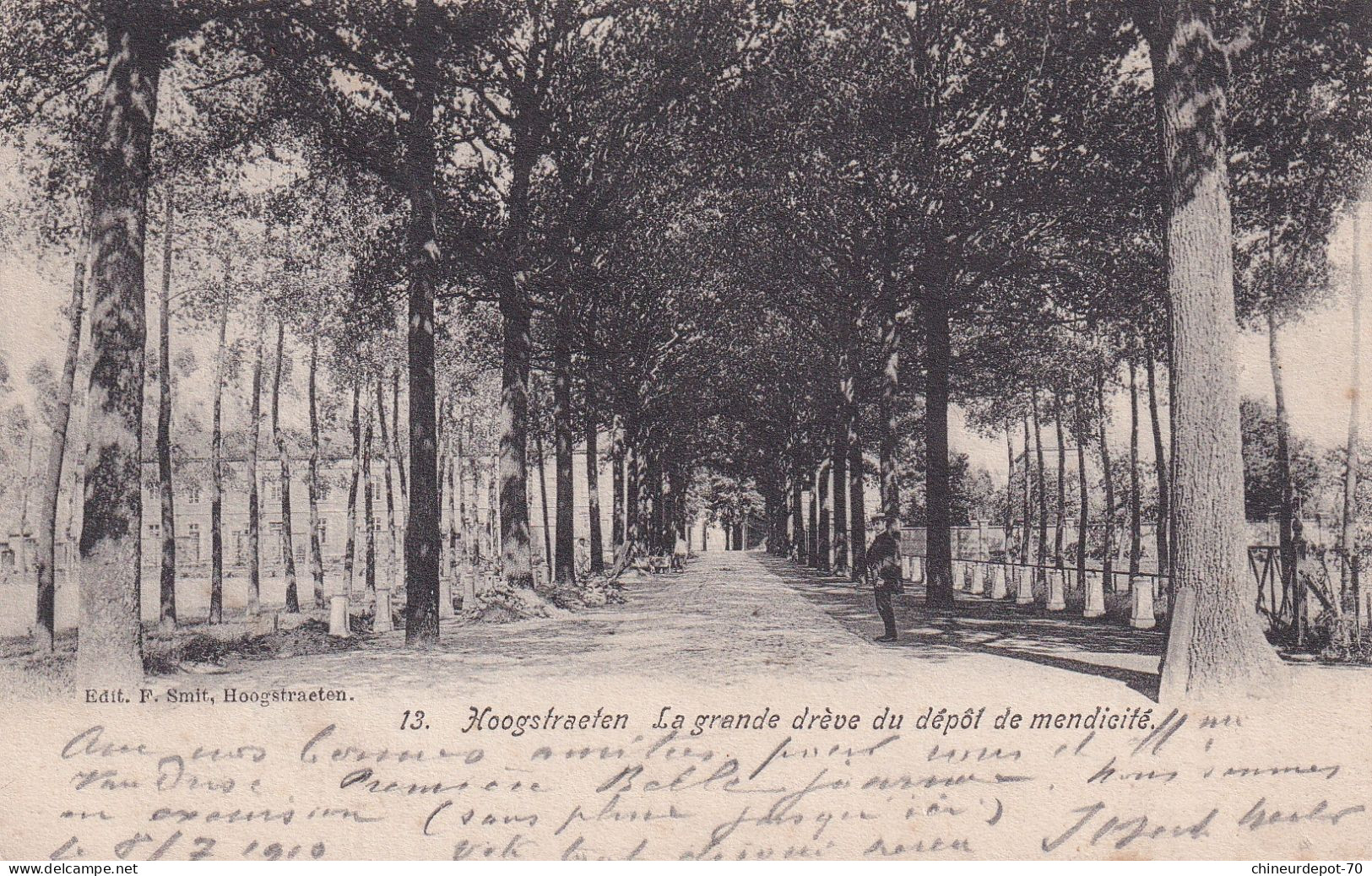 Carte Hoogstraeten La Grande Drève Du Dépot De Mendicité 1910 Hoogstraten - Hoogstraten